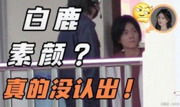 张小寒奇葩爆料事件视频,揭秘背后惊人真相