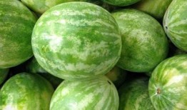 武都网红 吃瓜群微信,揭秘“吃瓜群”微信背后的故事